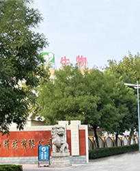 眾升科技高壓無功補償柜 --助力山東福洋生物科技股份有限公司,高效用電、改善用電質(zhì)量！