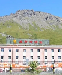 眾升科技系統(tǒng)輕載補(bǔ)償裝置--助力青海威斯特銅業(yè)有限責(zé)任公司，高效用電、改善電能質(zhì)量！